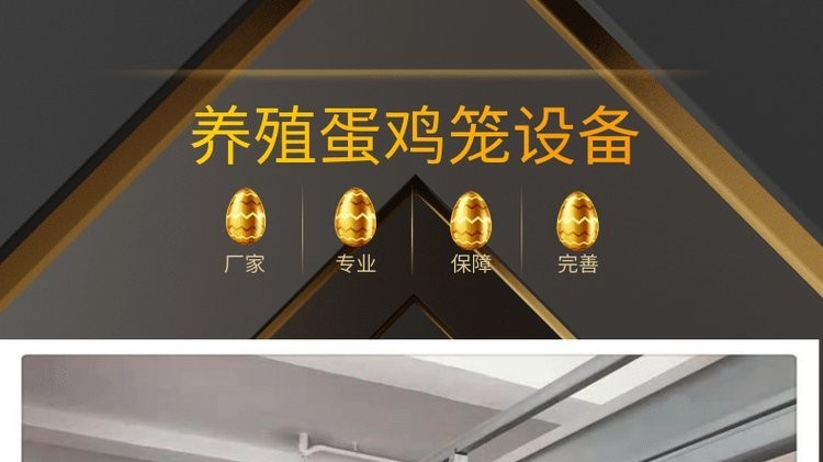 使用遠卓農牧蛋雞籠養(yǎng)雞，雞舍需注意的幾個關鍵點