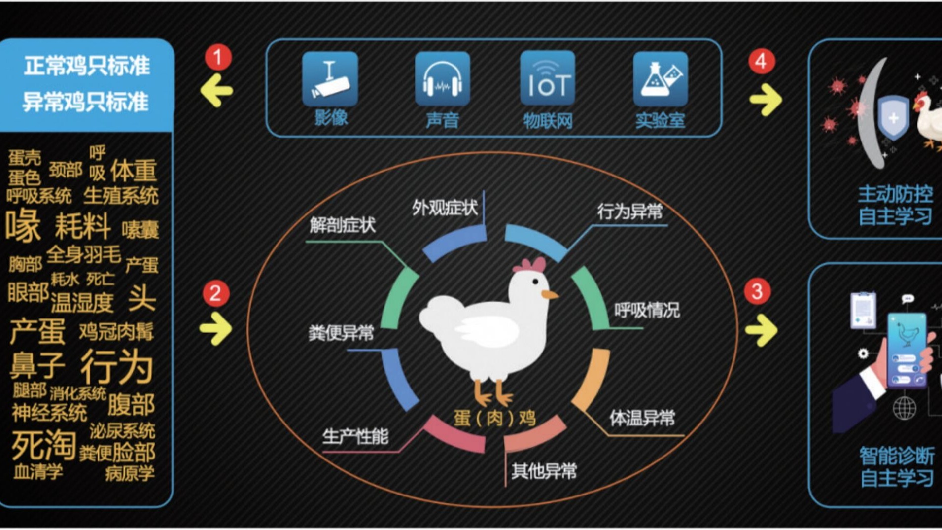規(guī)模蛋雞養(yǎng)殖場冬春換季，如何防止蛋雞產(chǎn)蛋率下滑？